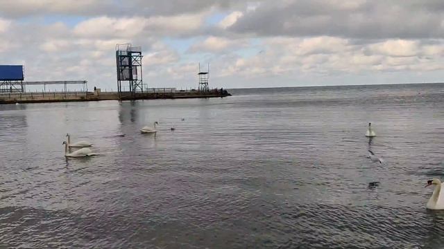 Анапа.Высокий берег. смотреть онлайн