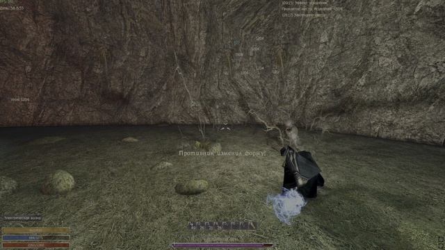 Тысячеликий друид