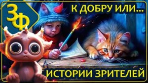 233 Кто мы и что здесь вообще происходит？ ｜ Истории Наших Зрителей