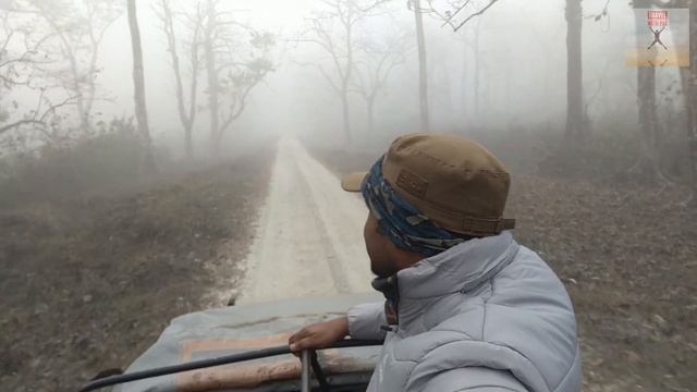 Jaldapara National Park | Hollong Bungalow | Dooars Trip Part-4 | TRAVELwithPAL смотреть онлайн