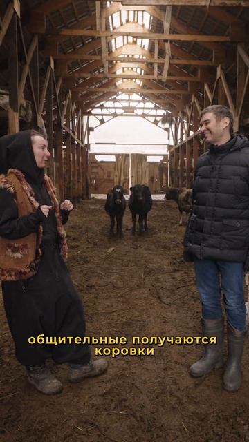 Эксперт по ретритам открывает секреты ТАНТРА САРАЯ #свояеда #ретрит смотреть онлайн