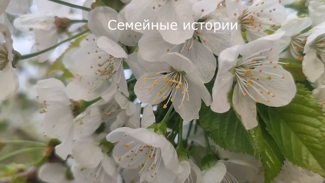 😥 От мужа не было вестей, она пыталась прокормить дочь, но неожиданно все обернулось против нее смотреть онлайн