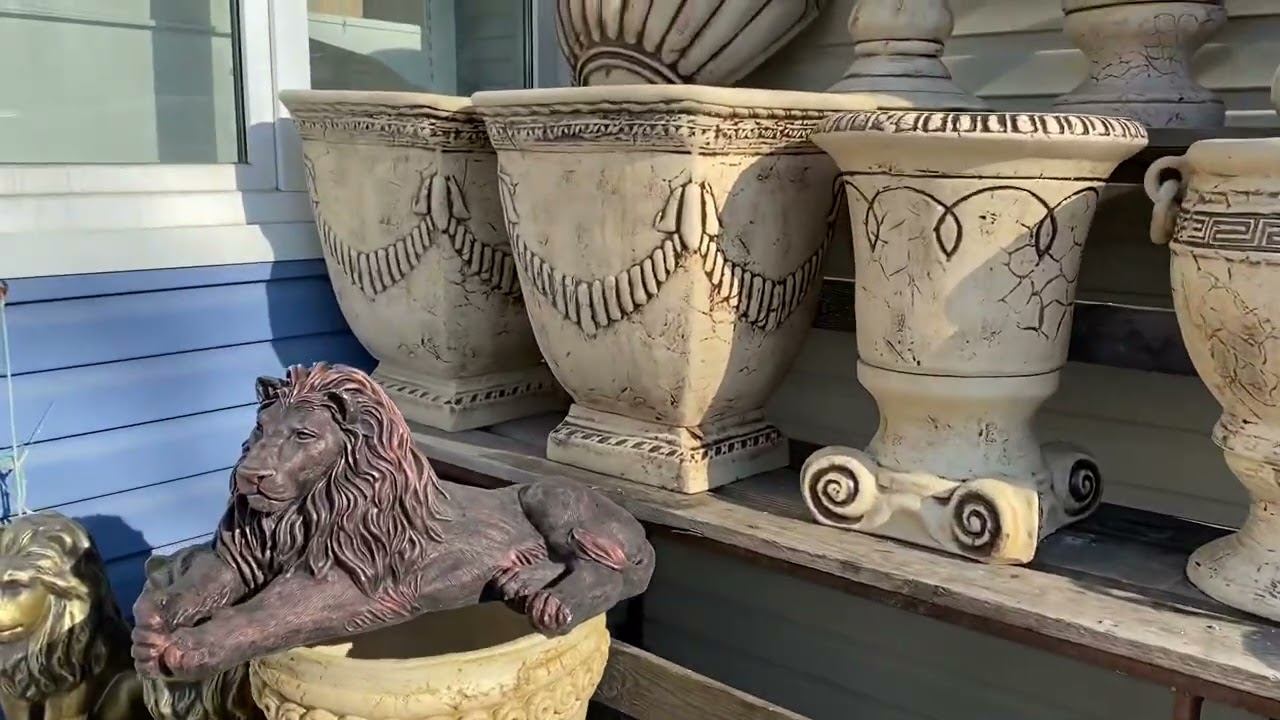 Розы. А Что с моим розарием??? Новые покупки для сада. смотреть онлайн