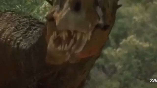 Allosaurus Broken Jaw Vs Dinheirosaurus