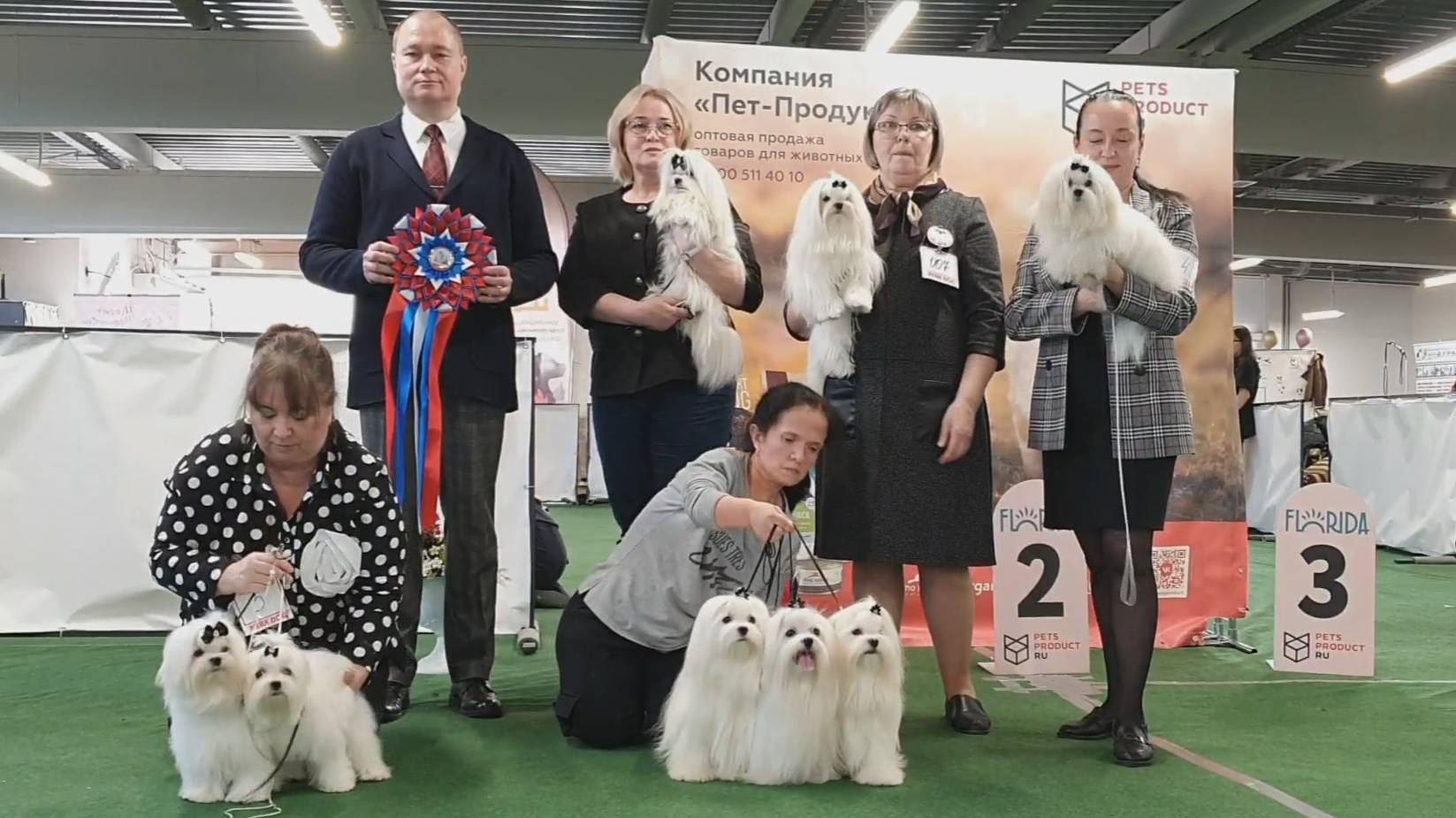 29.03.2025, СПб. Клуб "Спарс" (РКФ, РФСС). Моно МАЛЬТЕЗЕ смотреть онлайн