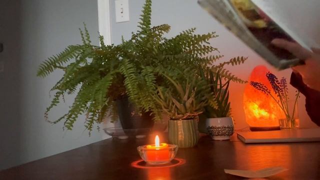 ASMR Roleplay: I Solve a Mystery | Friendship or Love? (personal attention asmr soft spoken) смотреть онлайн