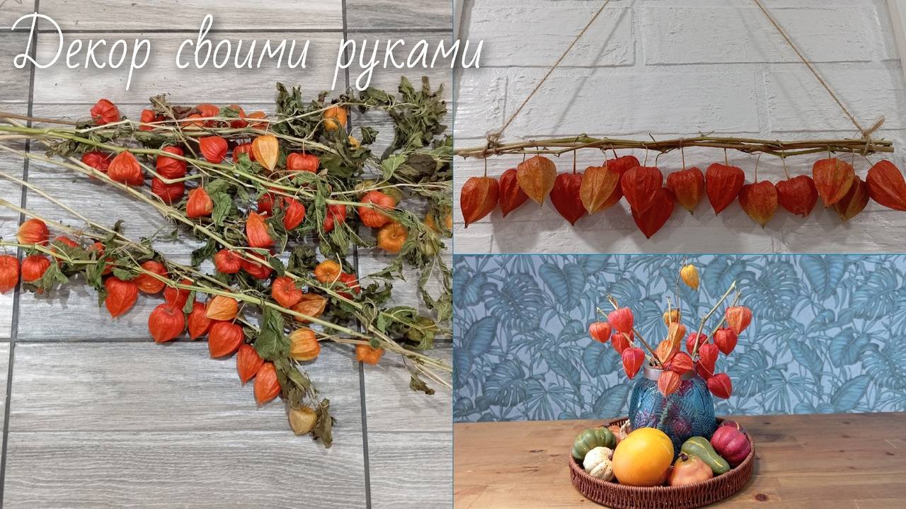 Декор для дома своими руками. Как использовать цветы Физалиса в декоре. смотреть онлайн
