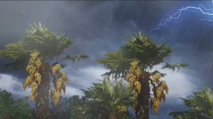 Звуки сильного дождя и грома в тропическом лесу для сна, учебы и медитации🌿Асмр сна