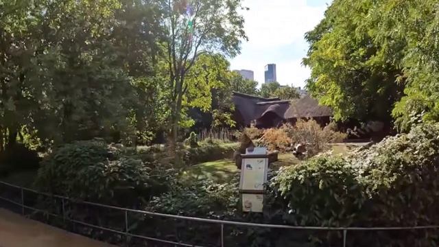 Зоопарк в Берлине пингвины обзор экскурсия пеший тур путешествия туризм отдых