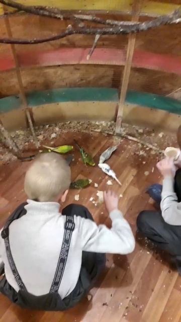 трогательный зоопарк) Санкт-Петербург смотреть онлайн