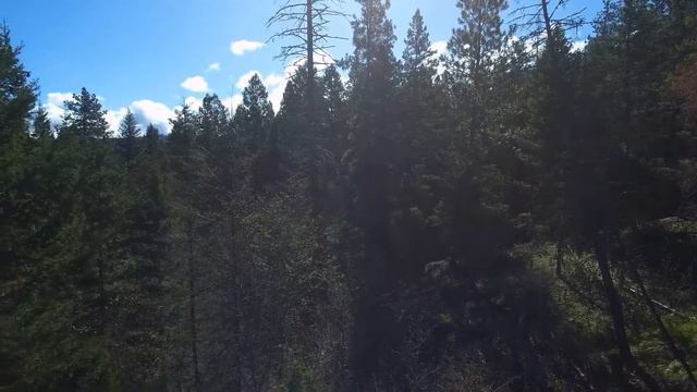 Наша разнообразная живая природа. смотреть онлайн