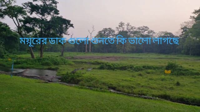 Hollong Tourist Lodge Jaldapara | Room,Food,Tariff|| Hollong Bungalow Booking Dooars Tour 2023 смотреть онлайн