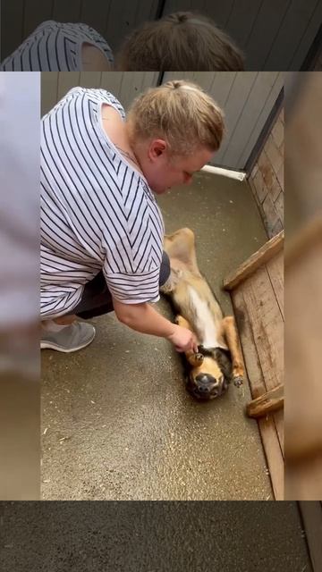 Бывший врач приюта Воронина Юля у нас в гостях смотреть онлайн