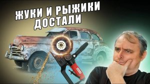 Как быстро убрать рыжики на кузове авто своими руками? RADEX: правильное удаление ржавчины и ЛКП