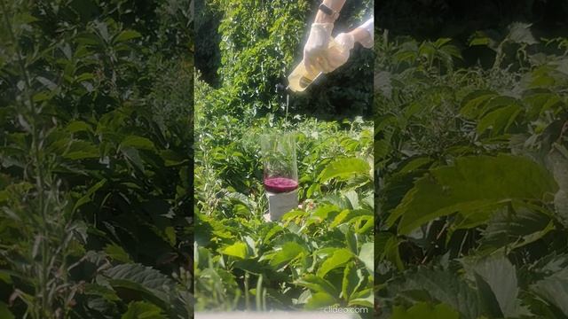 В эфире эксперименты смотреть онлайн