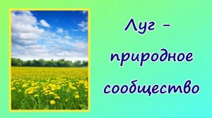 Окружающий мир Луг - природное сообщество. Видеоурок.