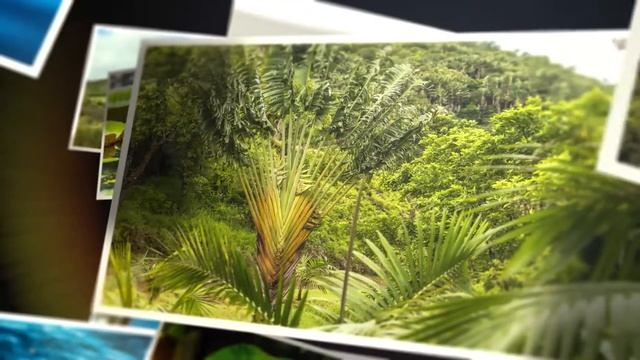 Mauritius 2017 смотреть онлайн