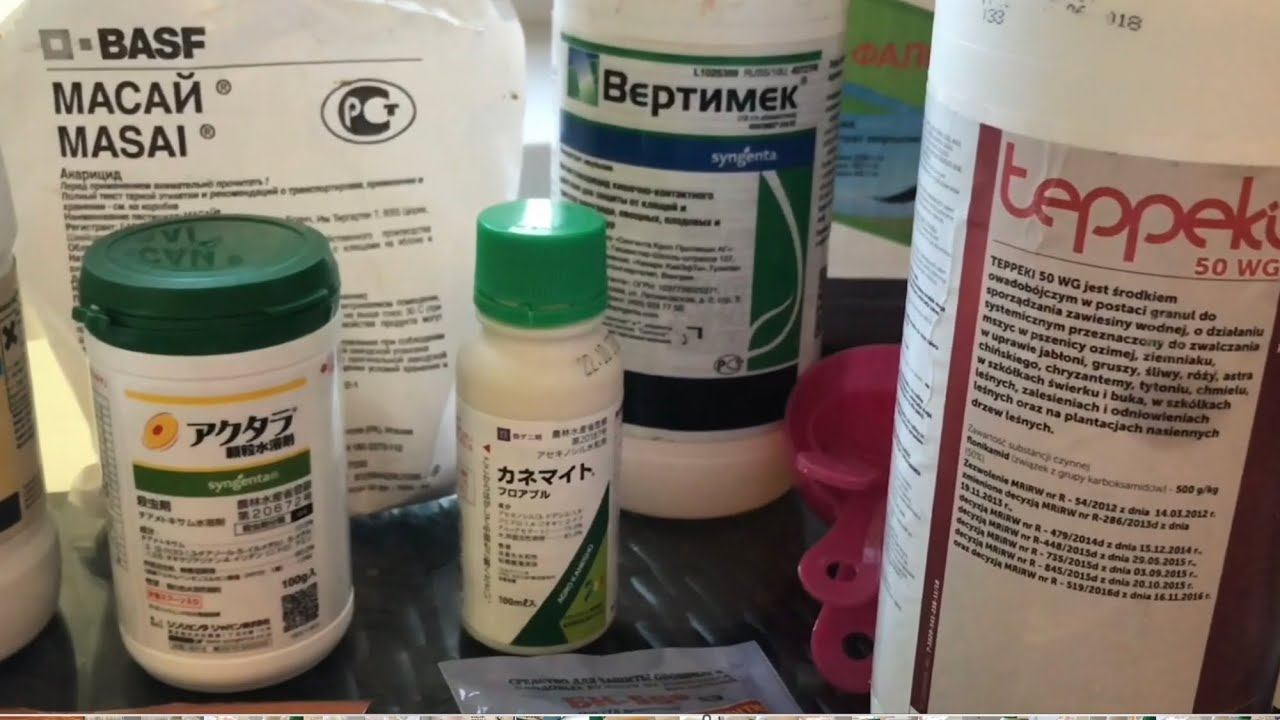 Розы. Объявляем войну вредителям. Препараты и схема их применения. смотреть онлайн