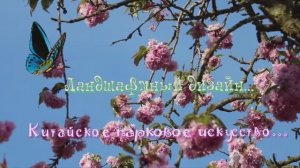 Ландшафтный дизайн   *  Китайское парковое искусство