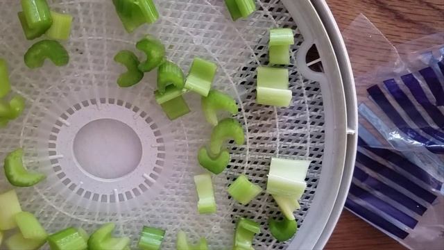 How to Dehydrate Celery | Should You Blanch Celery Before Dehydrating It? #LetsDehydrate смотреть онлайн