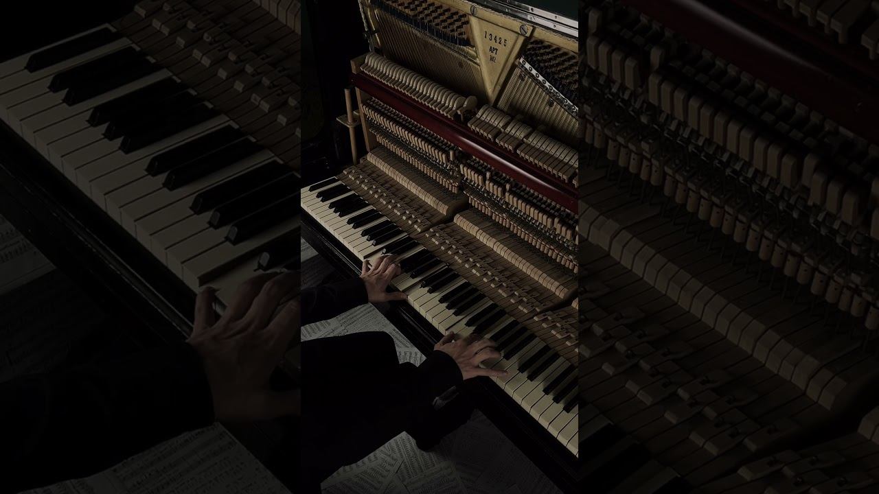 fall in love with your loneliness… #piano #aesthetic #shorts смотреть онлайн