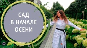 Обзор сада в Подмосковье в начале осени