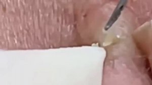 كل يوم هو حياة جديدة جيدة #𝟑𝟗𝟒