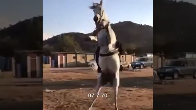 Лучи конь смотреть онлайн