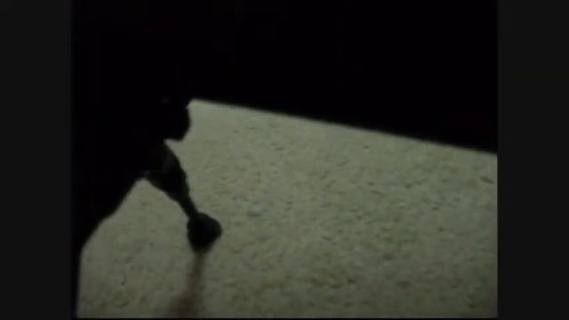 Review of the Uk Arms M24 Bolt Action Sniper Rifle смотреть онлайн