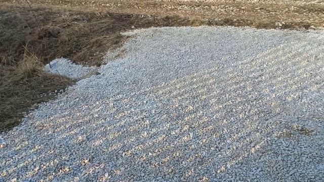 Запасной заезд готов Мы Срочно ВЕРНУЛИСЬ В ГОРОД смотреть онлайн