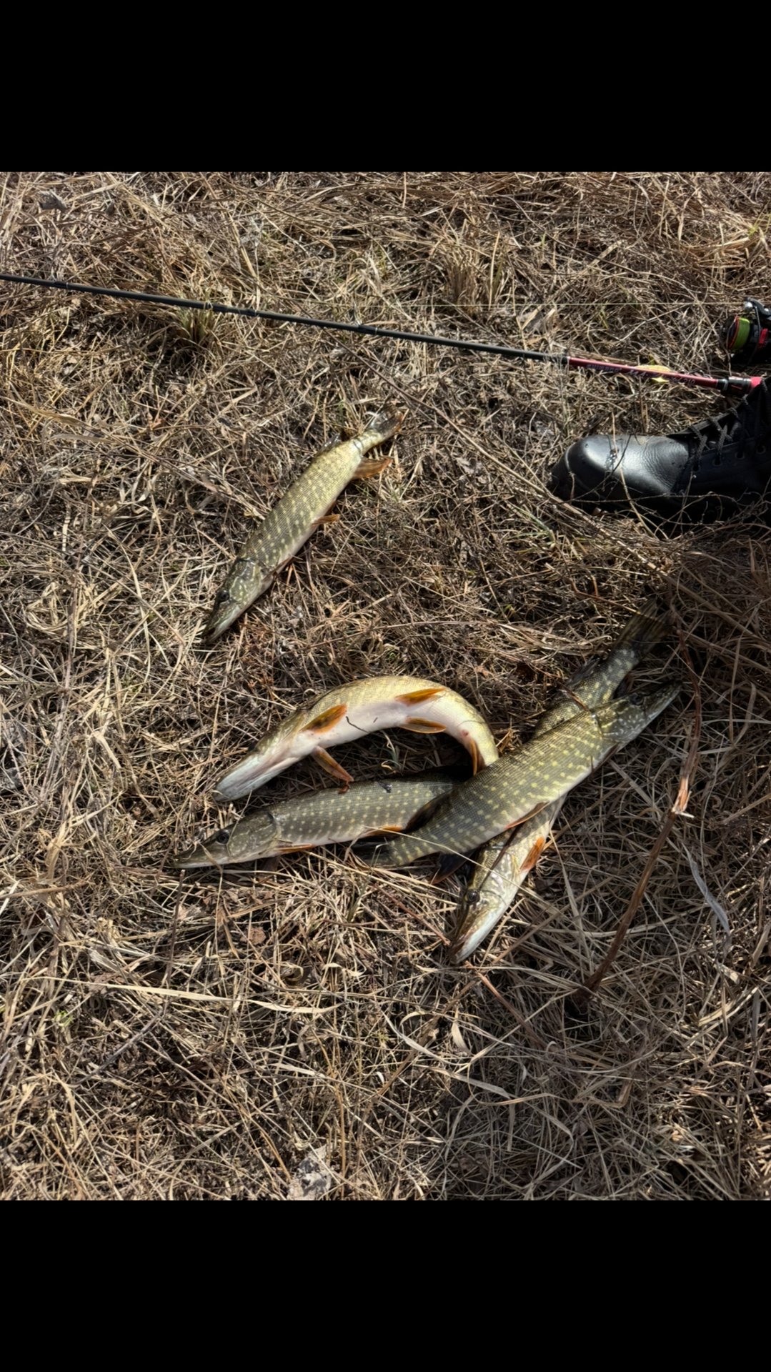 Открытие сезона.Никто не пострадал.