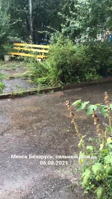 Minsk Belarus, сильный дождь 06.08.2021 смотреть онлайн