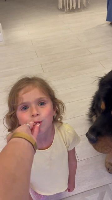 тибетский мастиф Далай и ребёнок 😂😃 спустя годы. занятия с кинологом - ключ к гармонии с собакой. смотреть онлайн