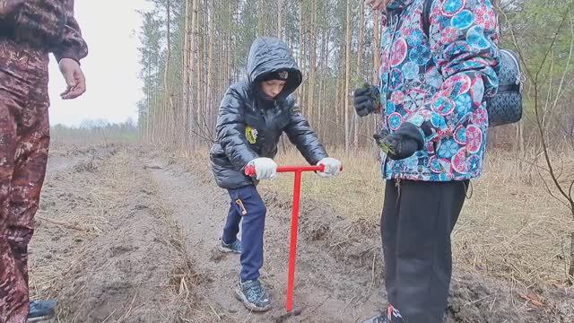 2025.04.01 Сосны смотреть онлайн