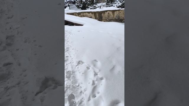 зима в апреле