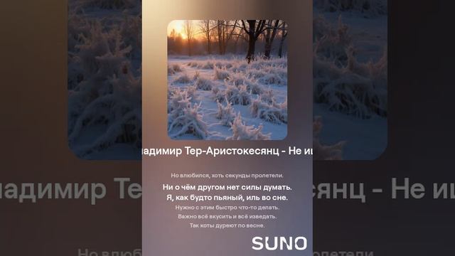 Владимир Тер-Аристокесянц - Не ищу (вар 1)
