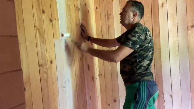 Vlog. Сажаем цветы бархатцы,красим комнату . смотреть онлайн