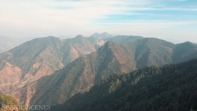 India In 4K60FPS - ANIMALS IN DOLBY VISION™ (TRUE CINEMATIC) Concept Of Love Jukebox | Arijit Singh смотреть онлайн