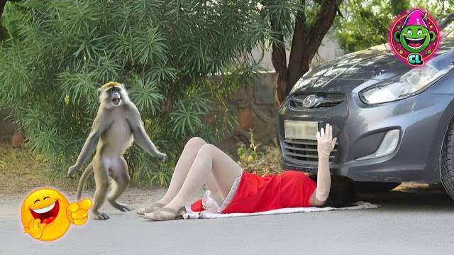 Попробуйте не засмеяться челлендж 😂😂😂Мгновенное сожаление о неудачах Сборник 2025 смотреть онлайн