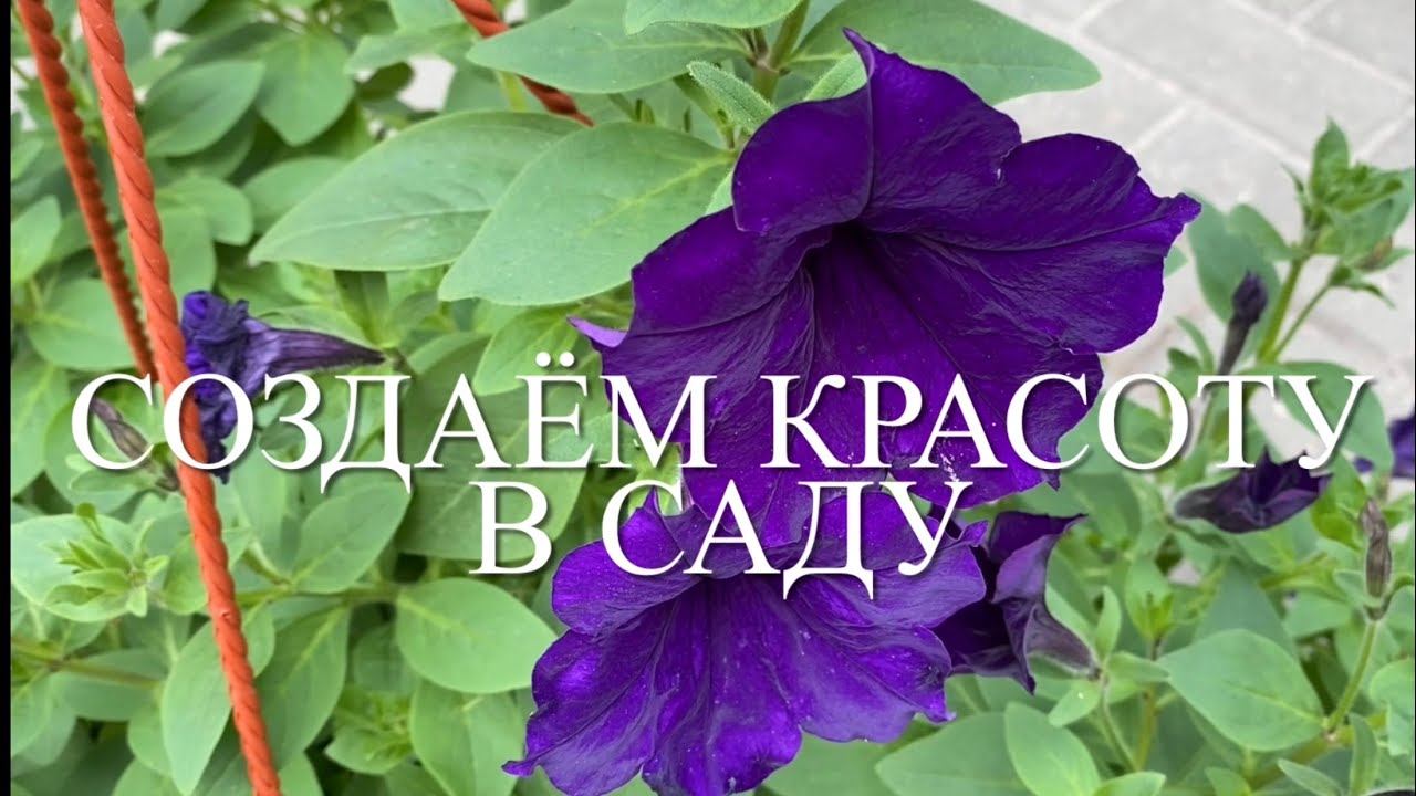 Розы. Красивые и практичные ограждения розария. Украшаем сад.... смотреть онлайн