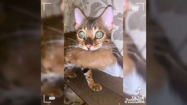 иди на х й смотреть онлайн