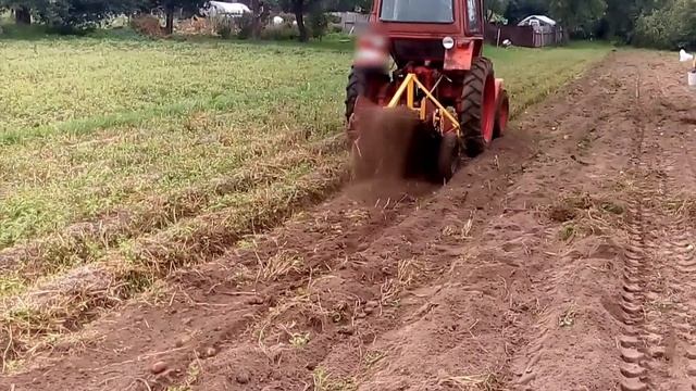 Трактор Т-25 копка картофеля / T-25 potato harwesting / kopanie ziemniaków /картоплі смотреть онлайн
