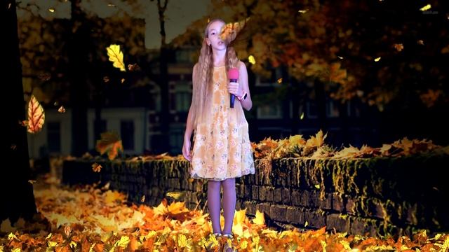 Концертная программа 