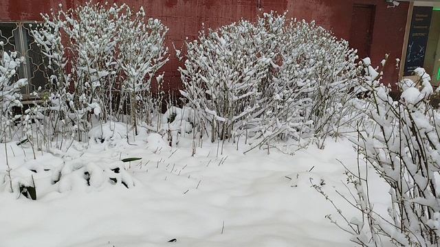 Зима в апреле смотреть онлайн