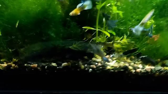 Поговорили покормили и т.д. смотреть онлайн