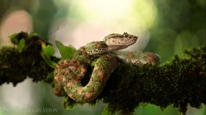 Дискавери: исследуем мир!