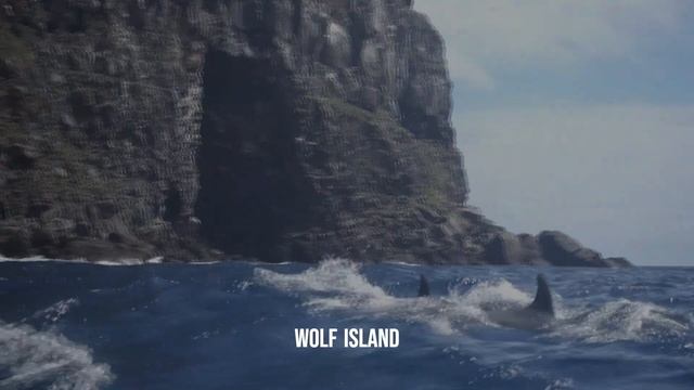 Living aboard - The Galapagos смотреть онлайн