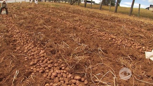Mujeres campesinas transformando territorio смотреть онлайн