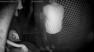 Комната страха в самом центре Санкт-Петербурга! А Вы там были?