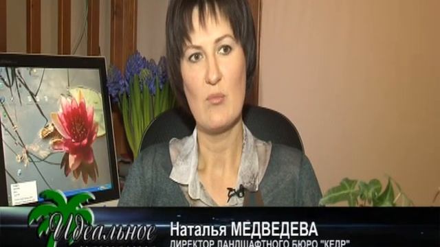 Ландшафтное бюро "Кедр"